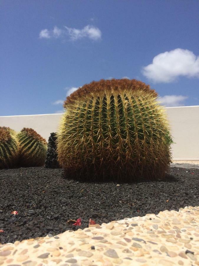 Los Panelos B1 Puerto del Carmen  Kültér fotó